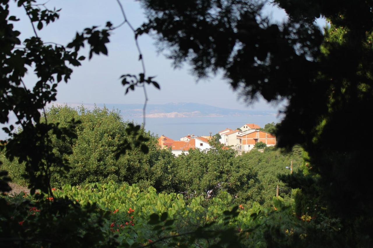 Apartments And Rooms With Parking Space Klenovica, Novi Vinodolski - 5590 المظهر الخارجي الصورة